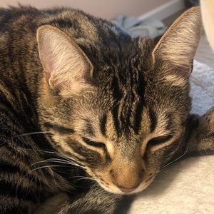 Meet your Posher, Kate